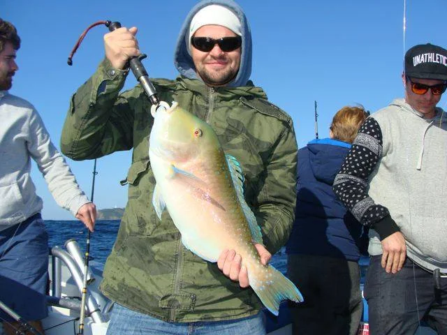 A young guest holding a kingfish on board